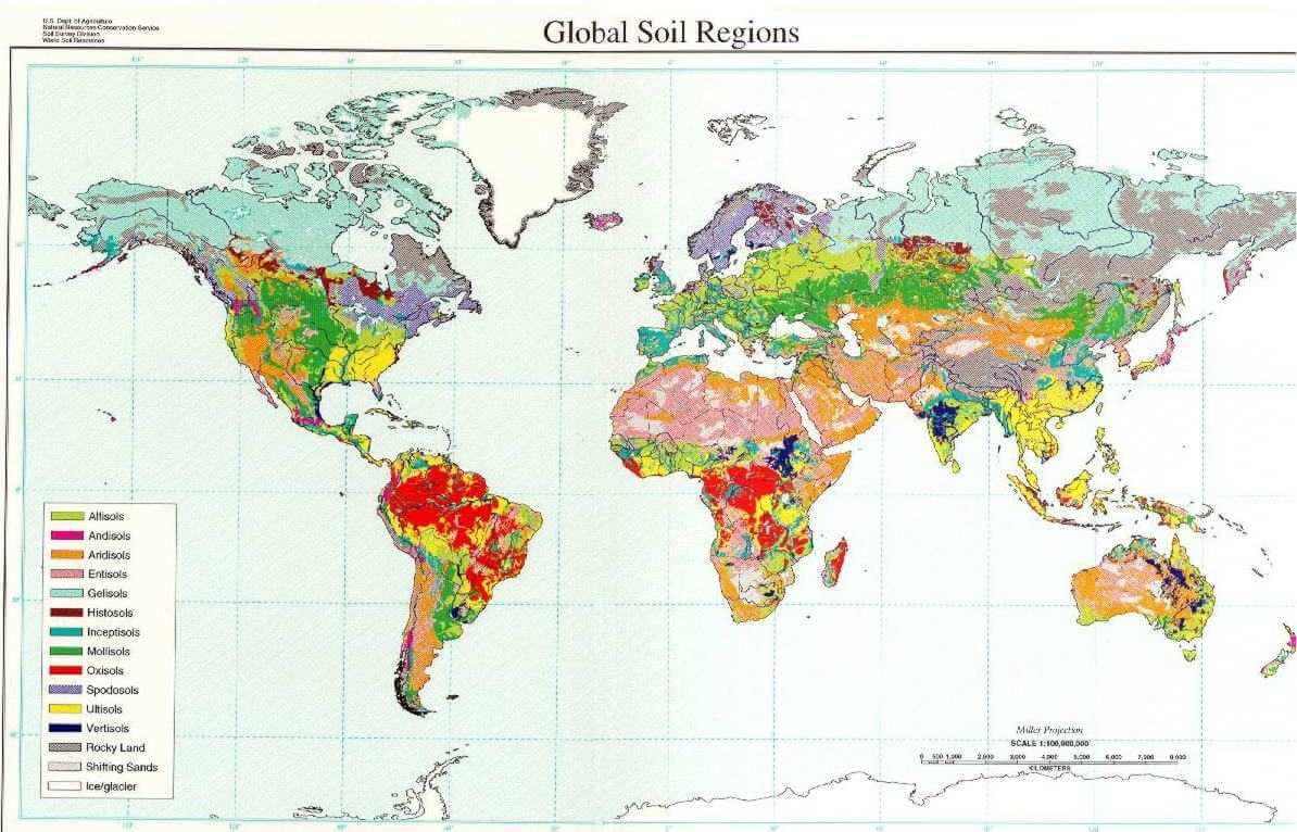 Dünya Toprak Haritası