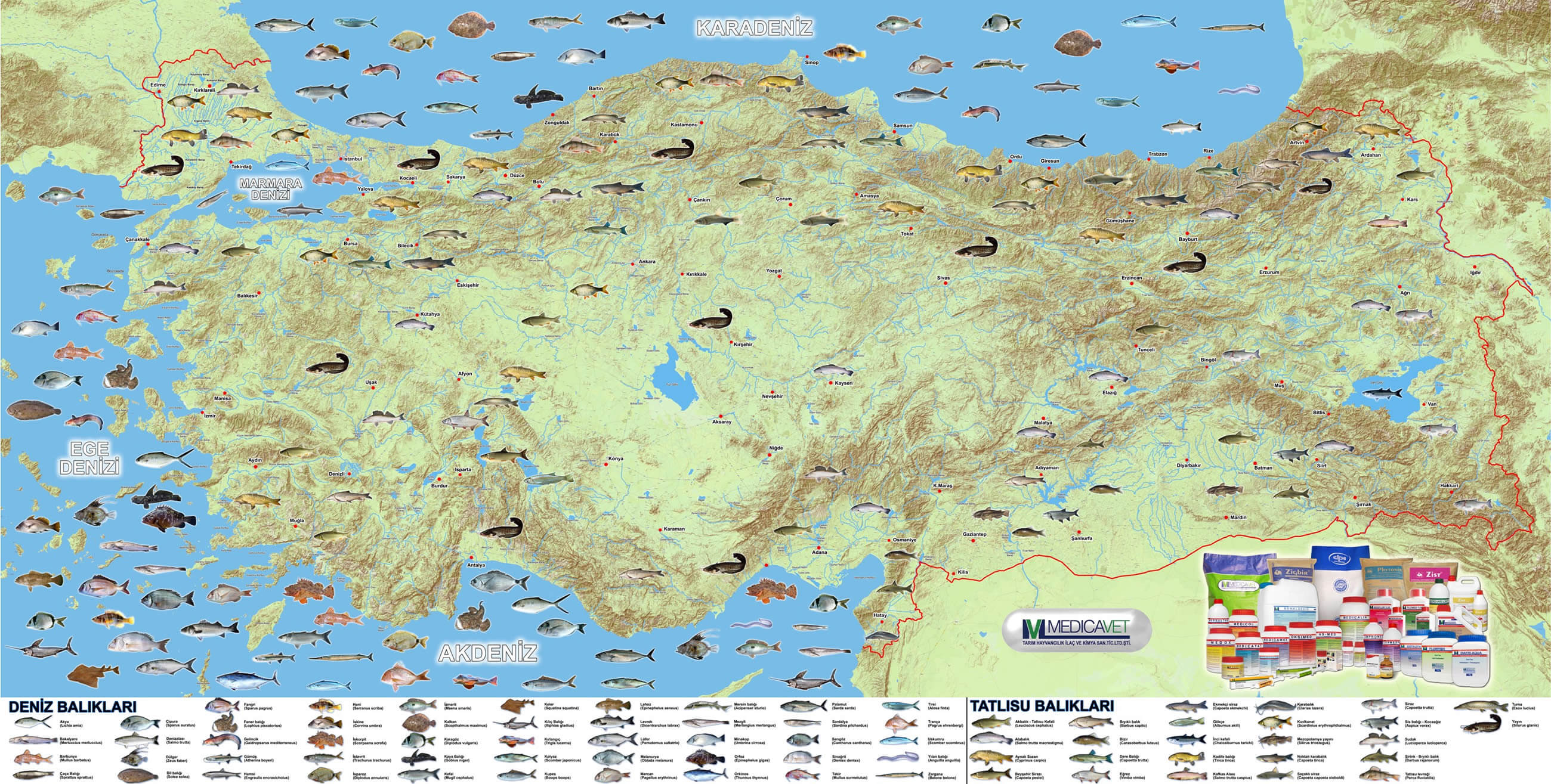 Türkiye Deniz Ürünleri Haritası