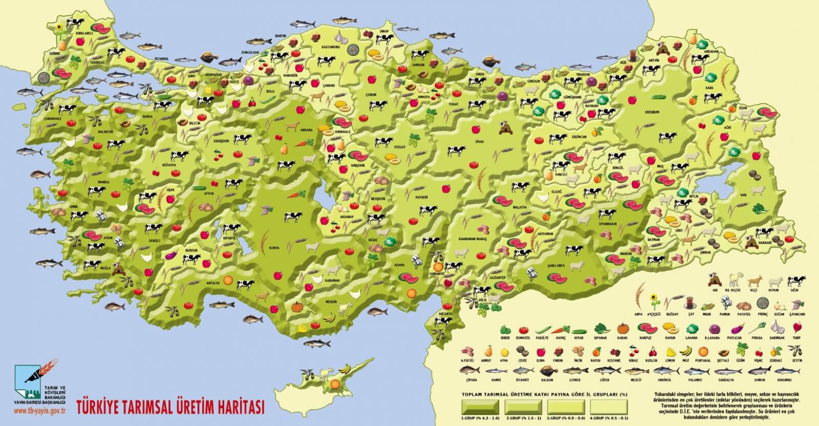 Türkiye Tarım Haritası