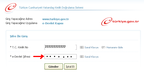 E Devlet Şifresi Geçiçi Şifre